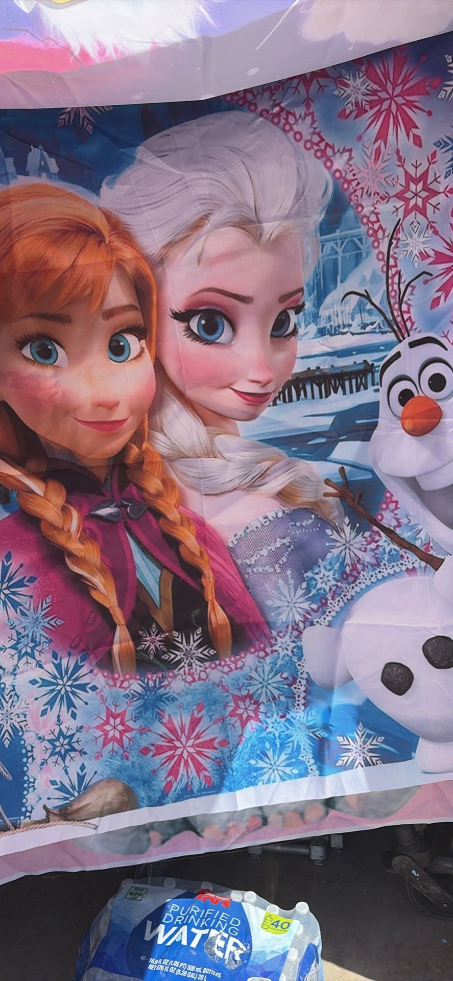 Frozen 8x7 Birthday Party Backdrop