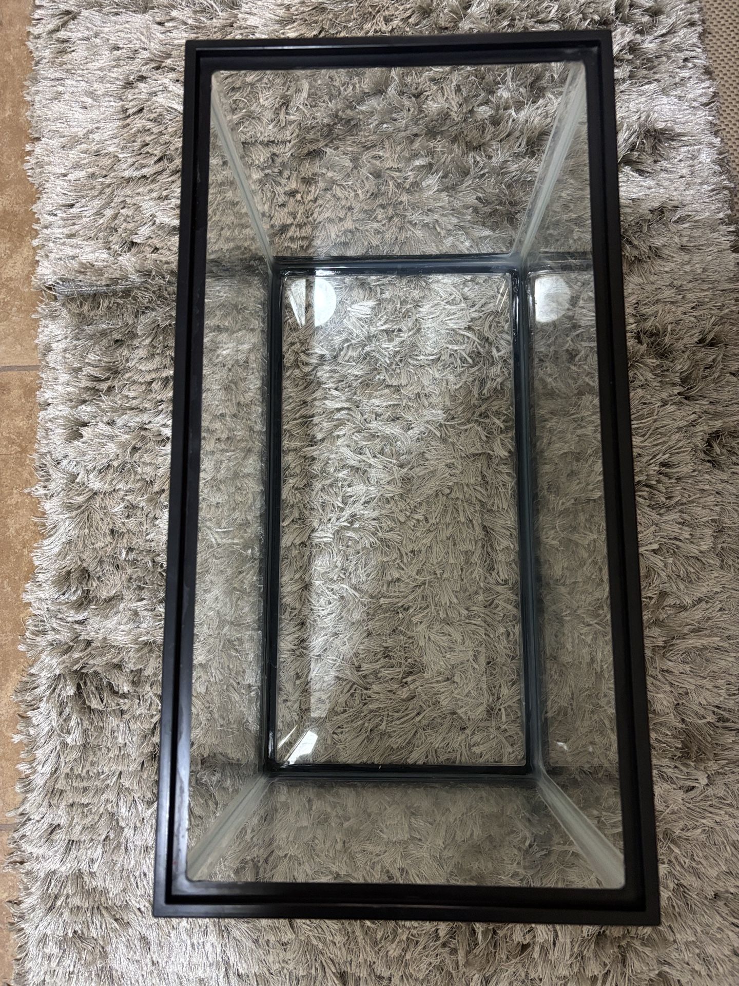 Fish Tank