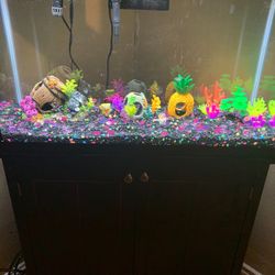 Fish tank 30 Gallon  With Stand And Everything That Comes With It 