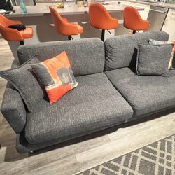 2 Gray Fabric Couches