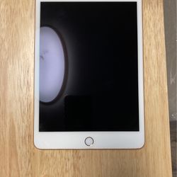 iPad Mini 5 