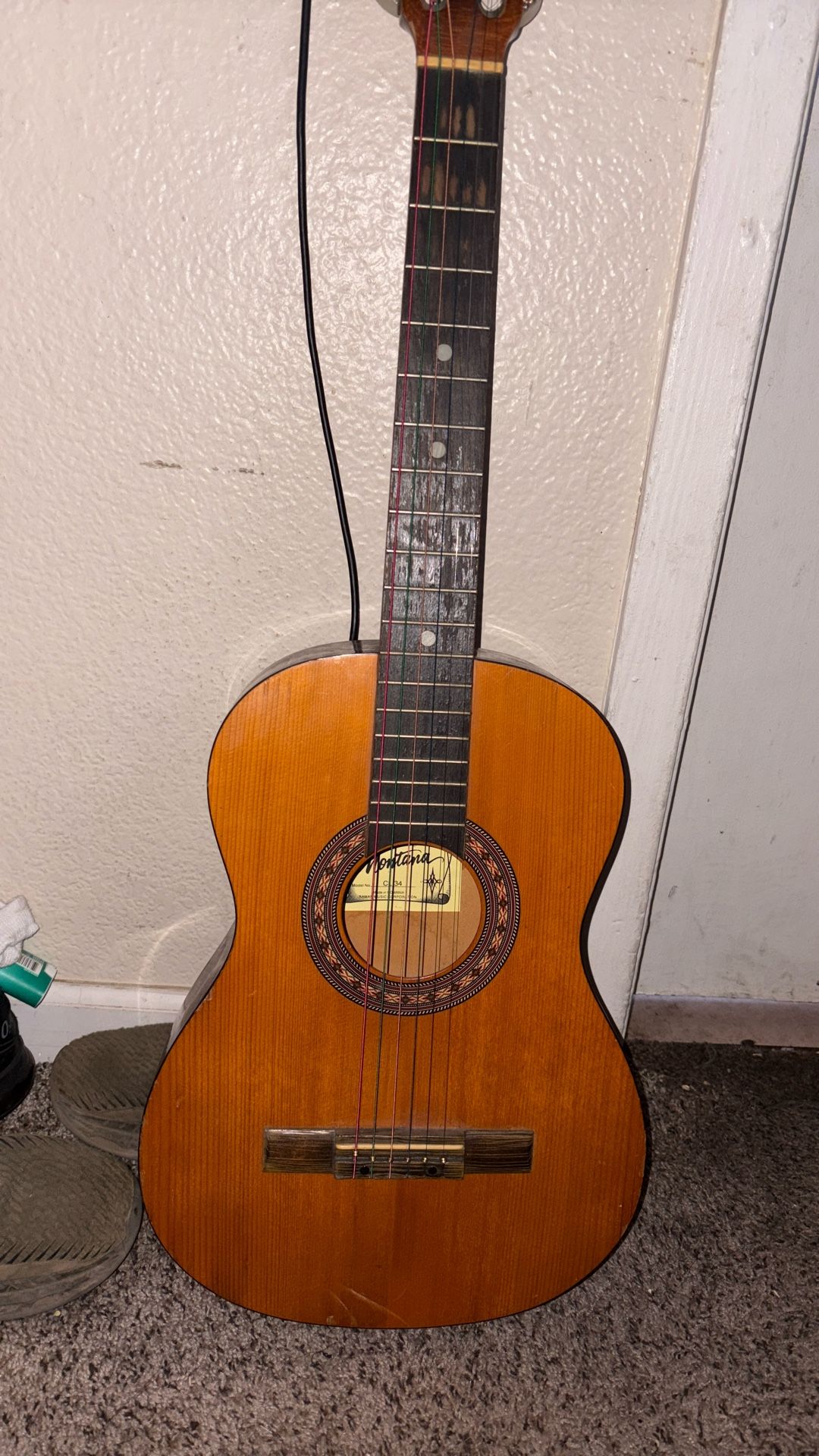 Acoustic Guitar