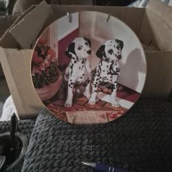 This Is A Collection Plate. On The Back Said Spot