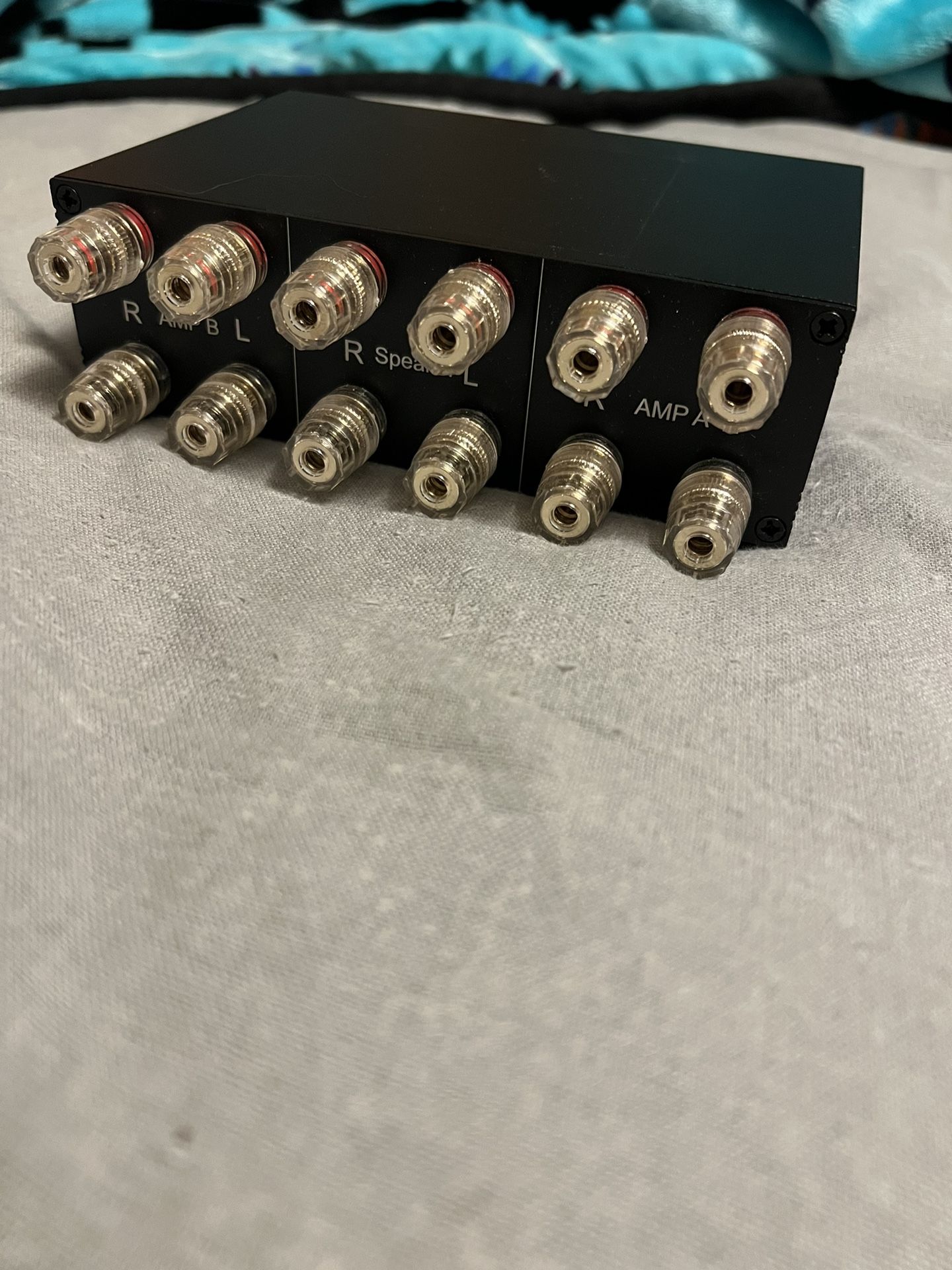 Amplifier Speaker Switch