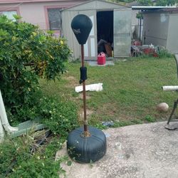 Everlast Reflex Bag $35 Or Best Offer Works Good Great Price Accepting First Reasonable Offer To Pickup 