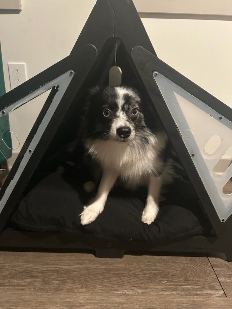 Black Handmade Teepee Dog Crate/bed Bought On Etsy 