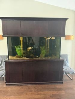 Aquarium 250 gallon 1" acrylic with stand and canopy