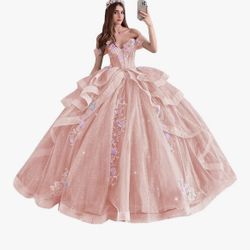Gorgeous Quinceañera Dress