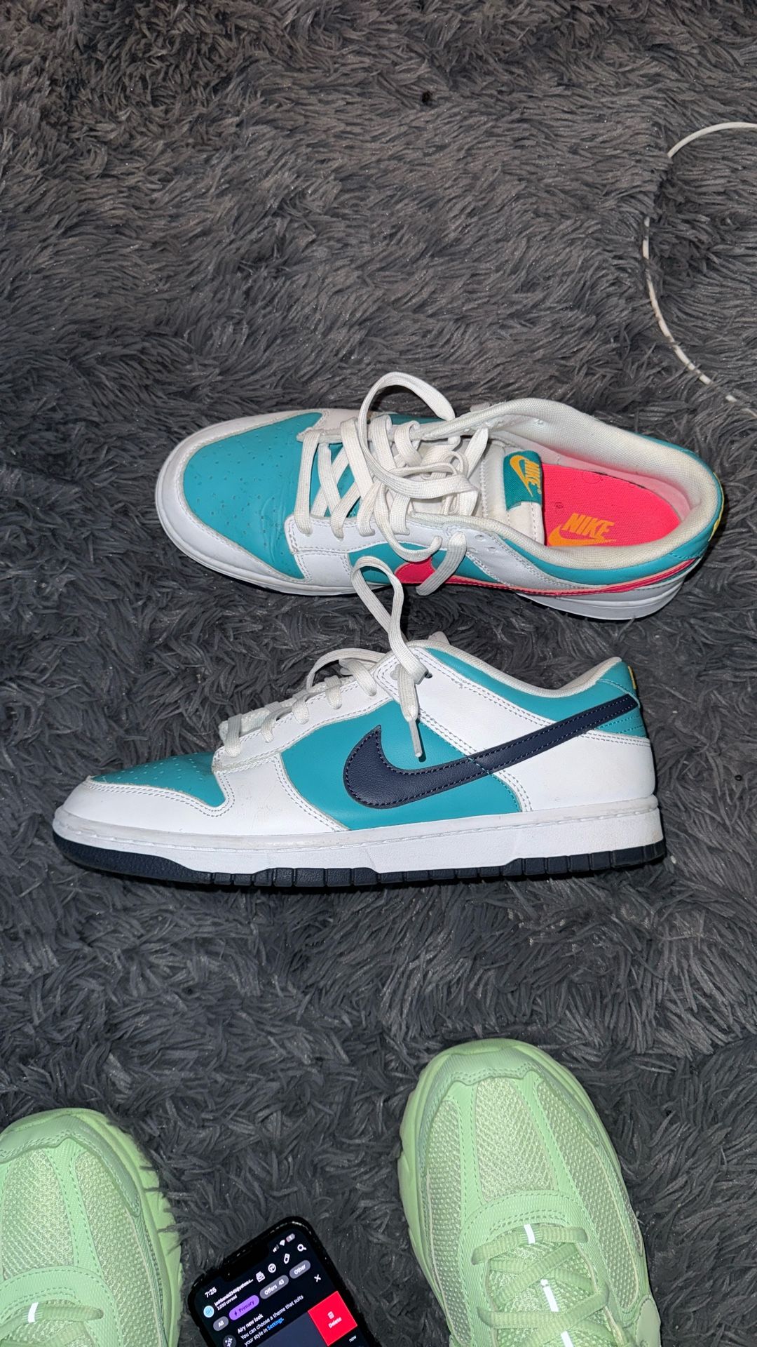 Nike Dunks