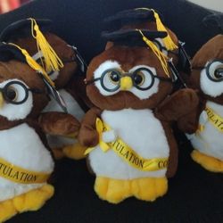 Graduation Owl Plushies 🎓