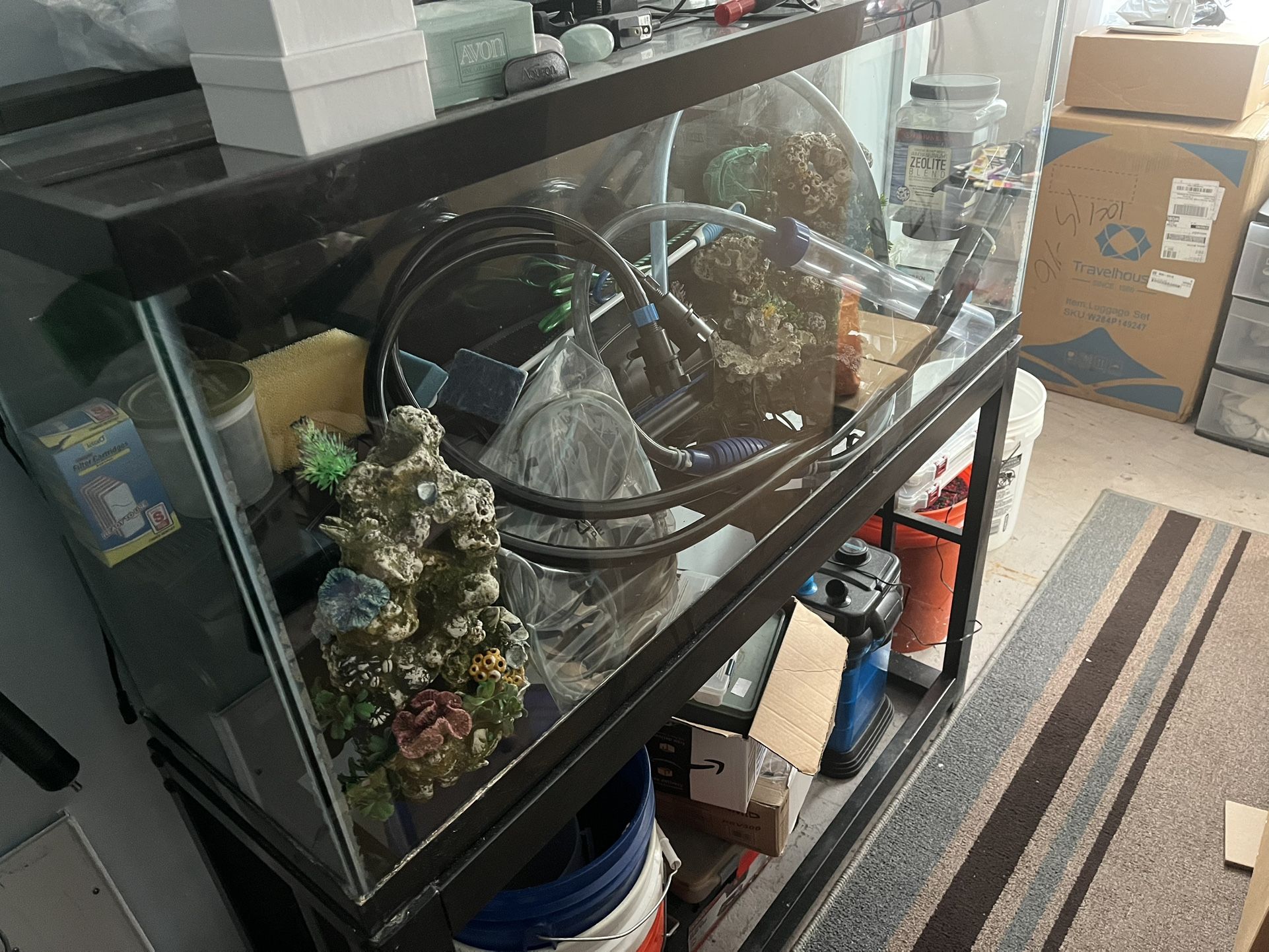 55 Gallon Aquarium