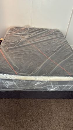 New Queen Size Bed with Box Spring