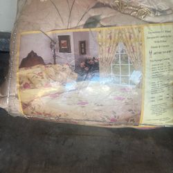 Brand New Queen, Comfort