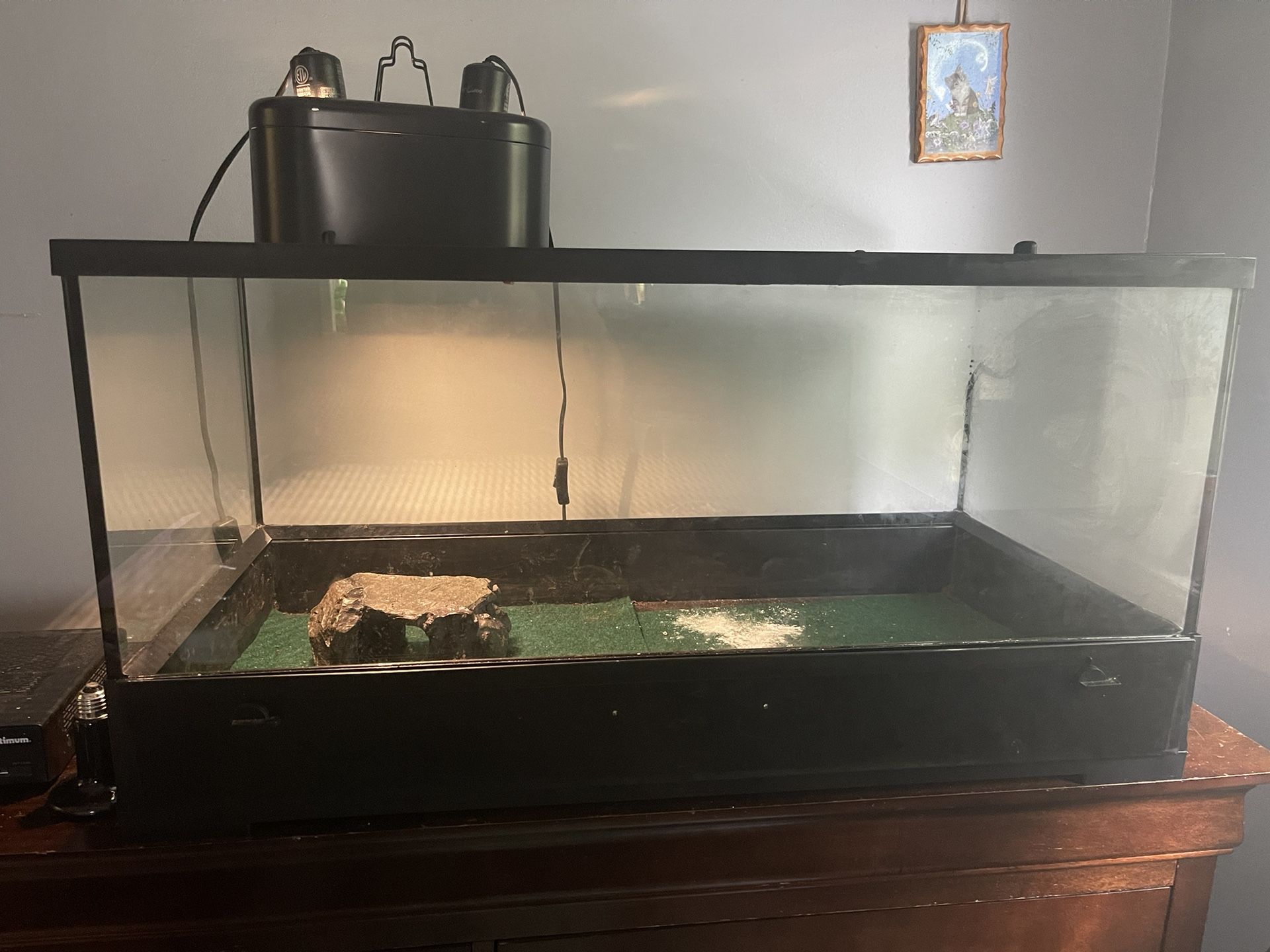 60 Gallon Reptile Enclosure Informacionpublica Svet Gob Gt