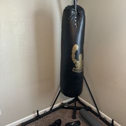 Hanging Pushing Bag Set