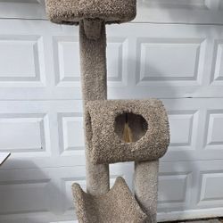 Cat Condos Cat Tree Brown Over 5 Feet Tall