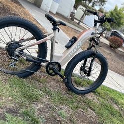 Ebike
