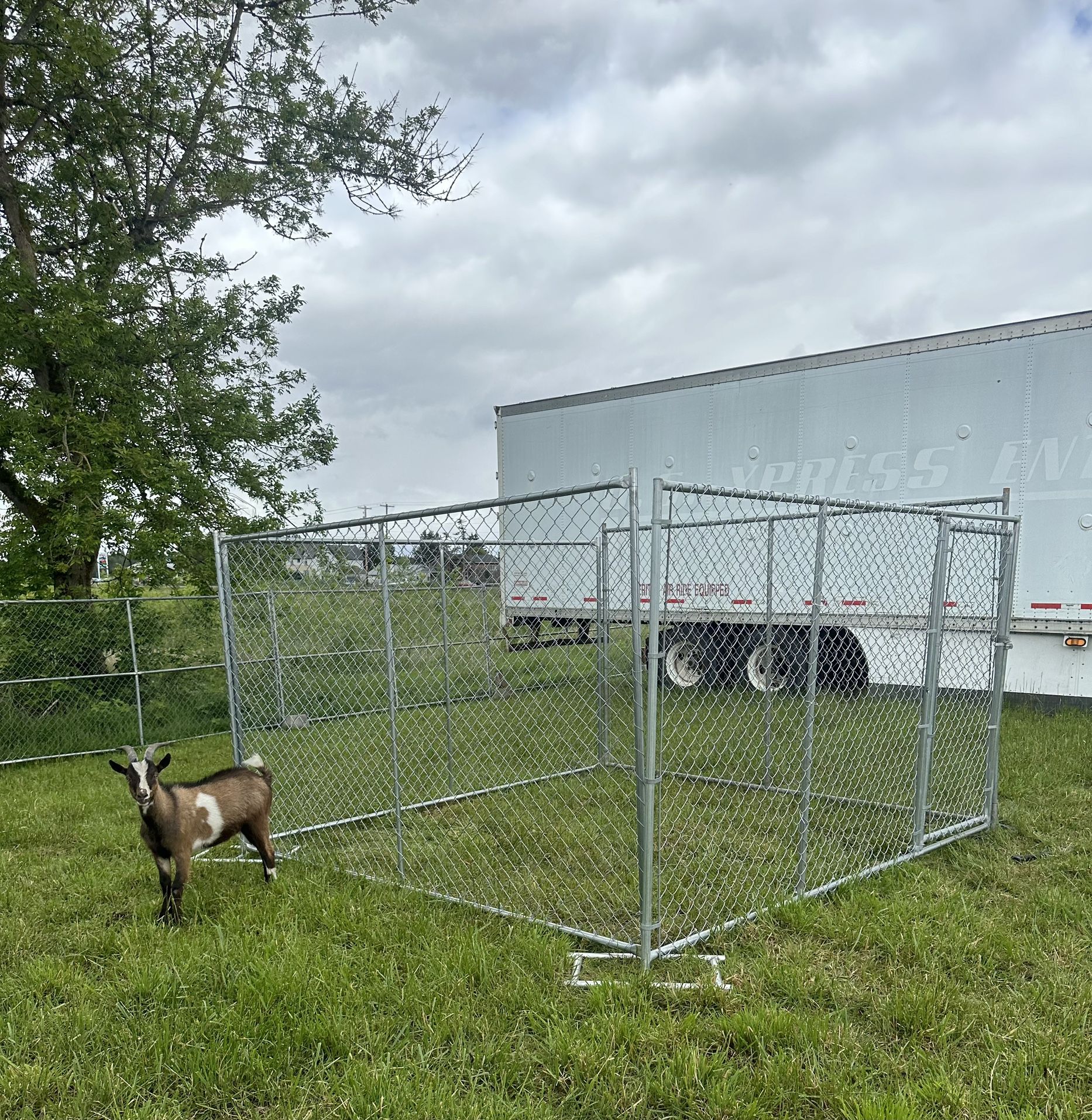 Temporary Fence/gate $650