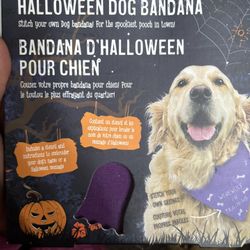 Brand New Dog Halloween Bandana 