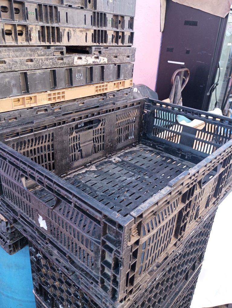 Plastic Strong. Boxes