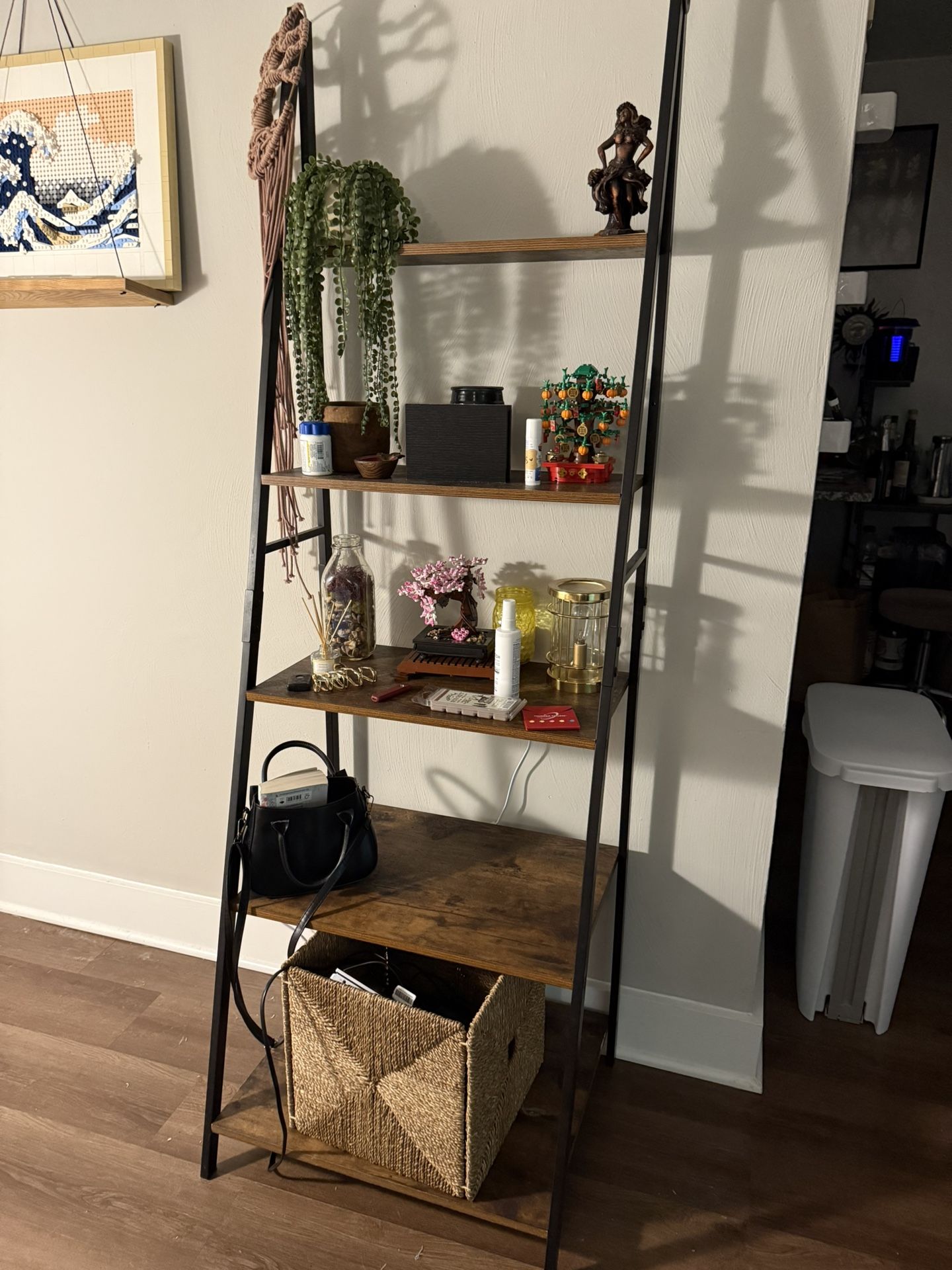 Ladder Shelf
