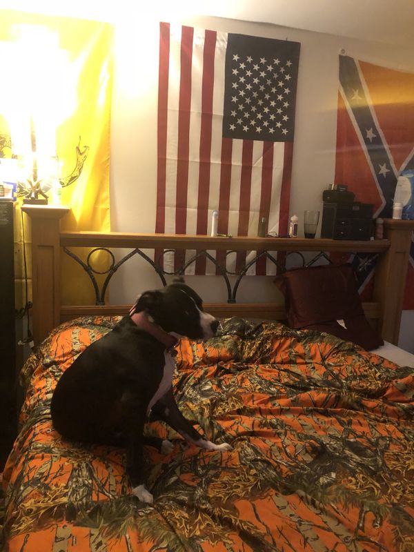 King Size Bed Frame For In Jersey S Pa Offerup King Size Bed Frame