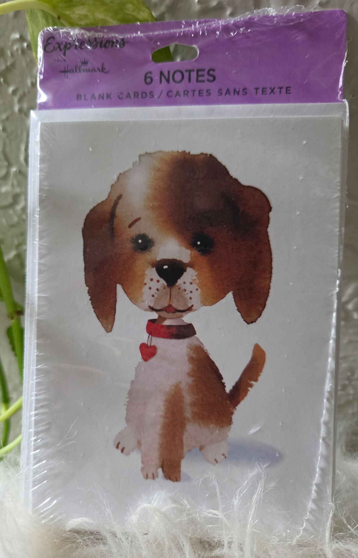 Hallmark Expressions Puppy Dog Blank Note cards