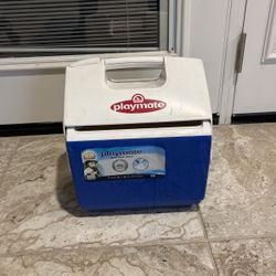 Igloo Mini 4Qt Cooler