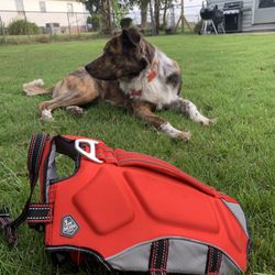 Dog Life Jacket