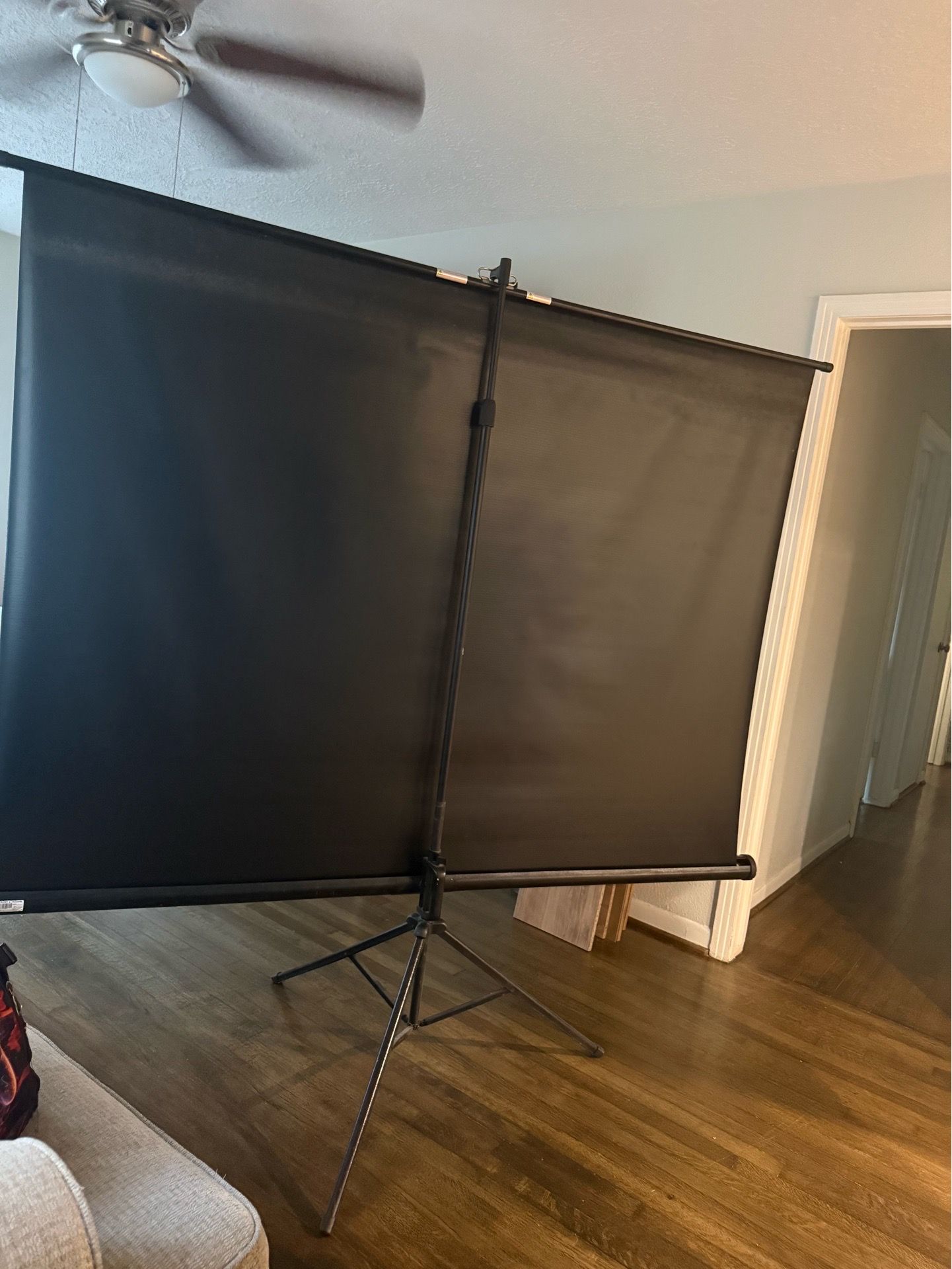 Projector Screen with Tripod