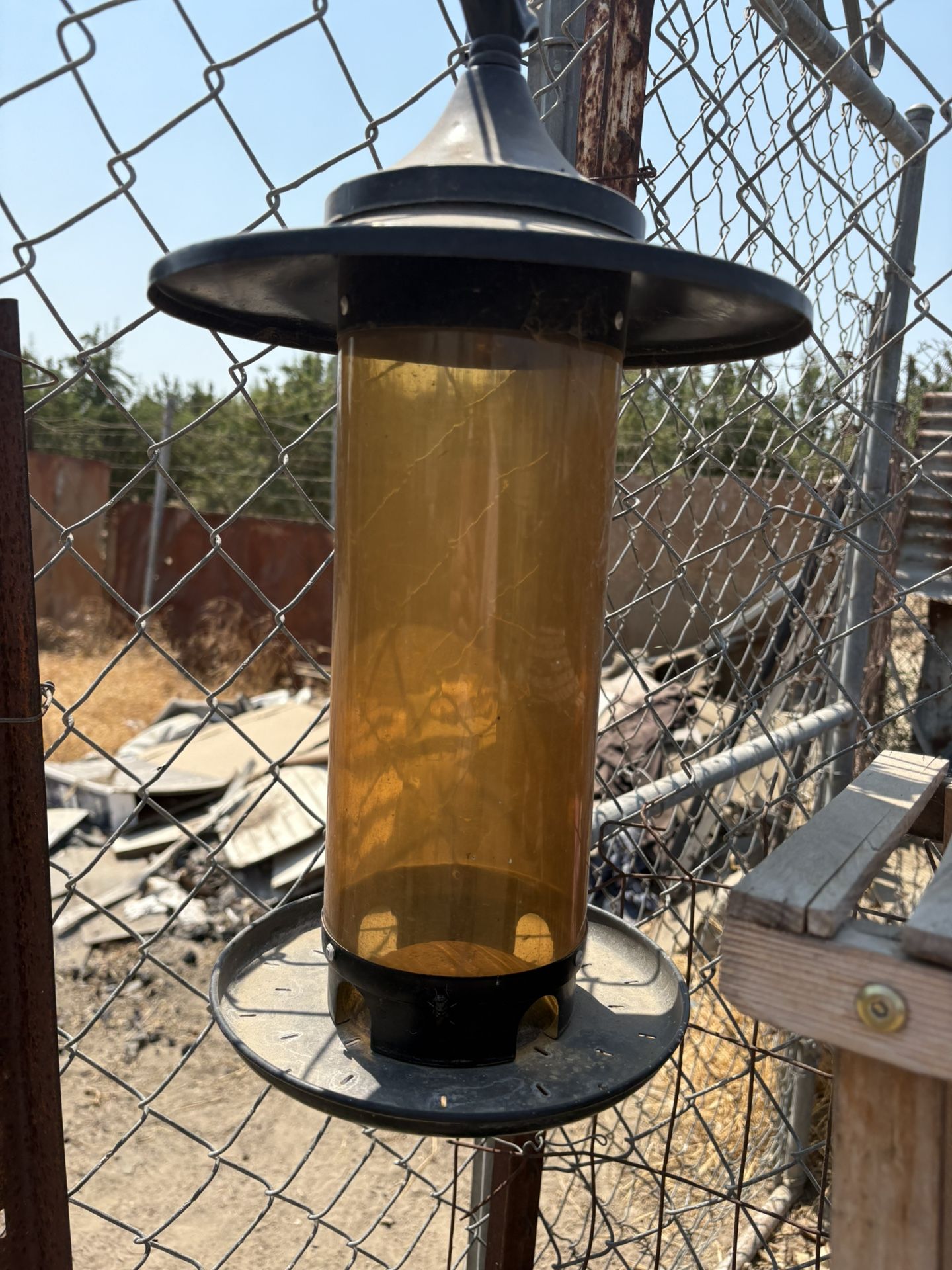 Bird Feeder