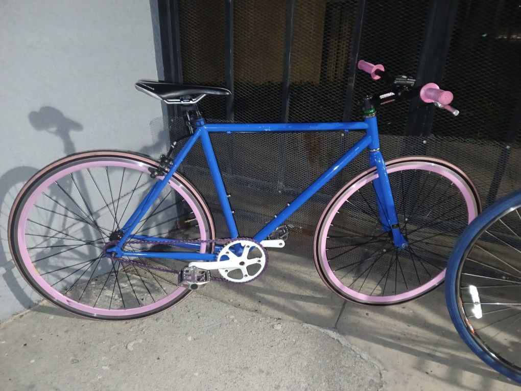 Fixed Up Fixie
