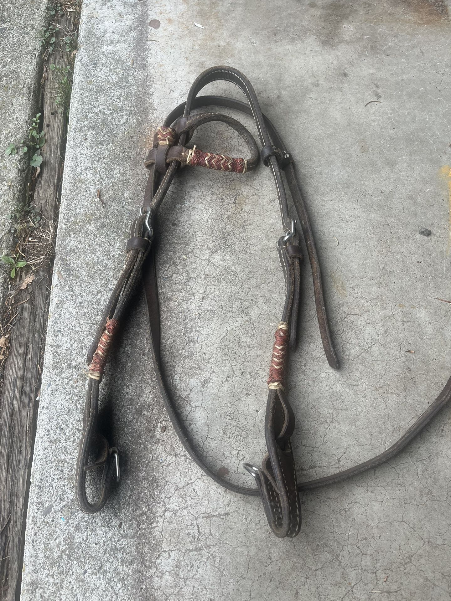 Western Horse Bridle