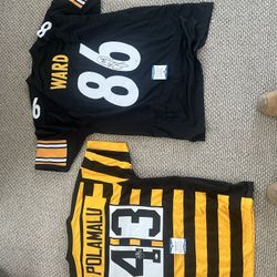 Polamalu And Hines Ward Jersey