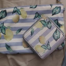 BLUE AND WHITE STRIPED WALLET/MAKEUP BAG