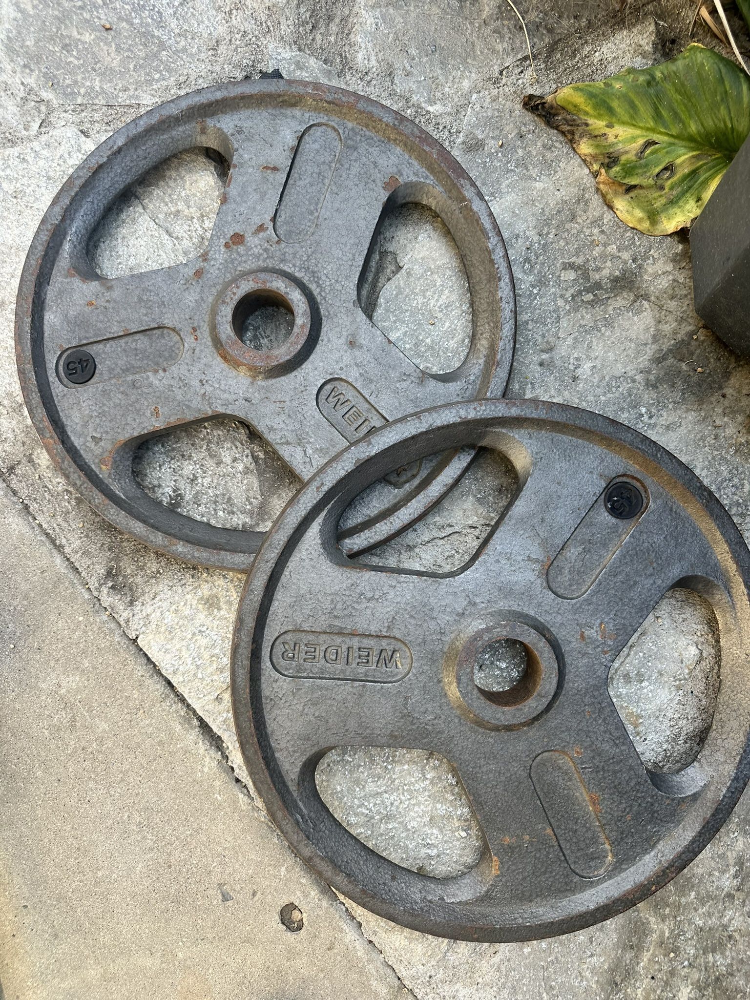 45lb Olympic Weight Plates
