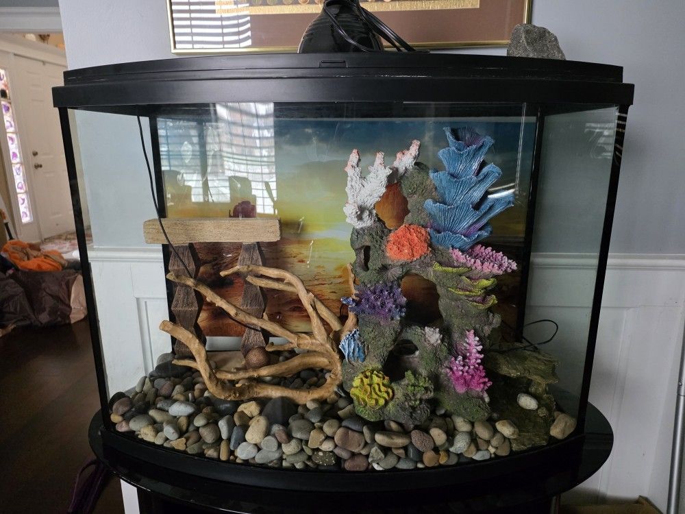 Fish Tank