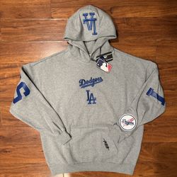 Pro Standard Los Angeles Wingspand Hoodie