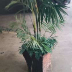 Una Palma Artificial 