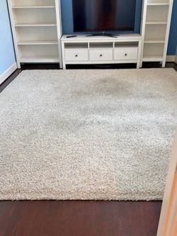 Cream Shag Rug + Rug Pad 12’ x 9.5’