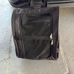 Belis Para Perros   Para Viajar 