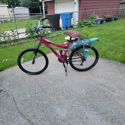 Adult Bike  26in 