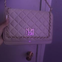 Beige Purse