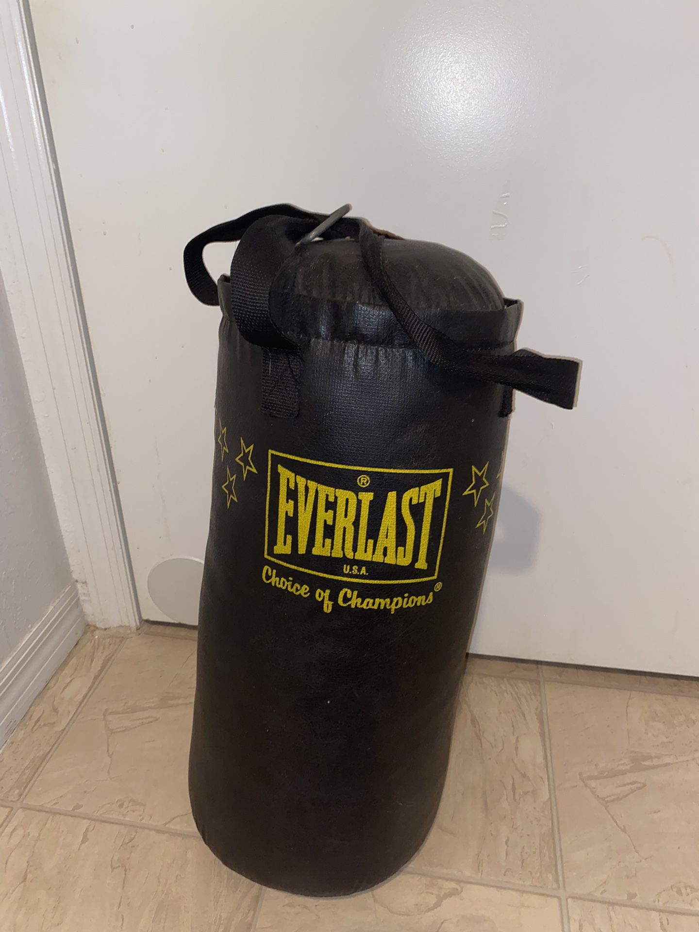 Everlast Punching Bag