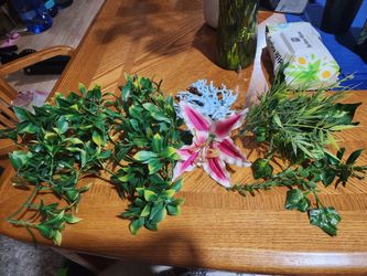 Reptile Fountain And Reptile Plants 