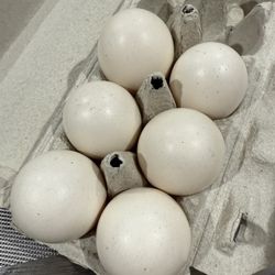 Duck Eggs