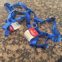 DOG Harness Brand New‼️