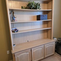 Cabinet Bookcase Or TV Stand