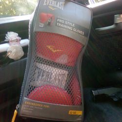 16oz Everlast Professional Boxing Gloves 