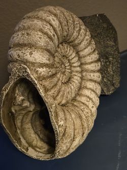 Reptile cave